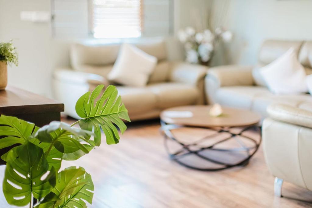 Platinum Cawa Apartments Nadi Dış mekan fotoğraf